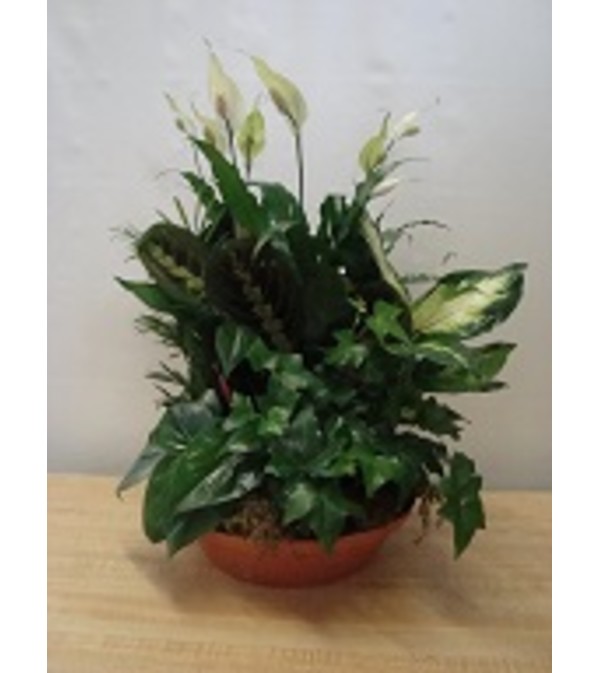 Earthly Planter