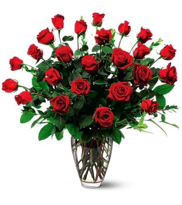 2 dozen roses Vased