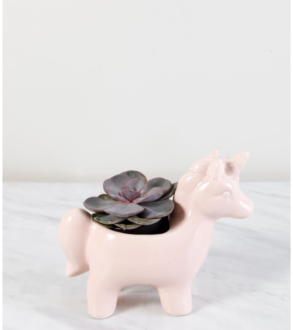 Pink Unicorn Planter