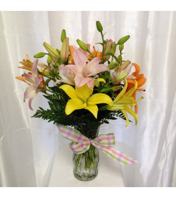 LILY DELIGHT