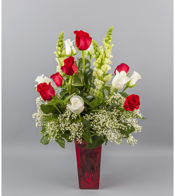 Touch of Red, Splash of White