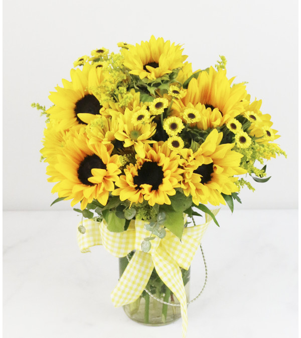 Sunflower Glow