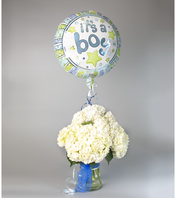 Oh Boy, It's a Boy!