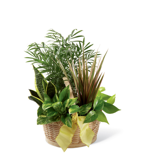 The FTD® French Garden™