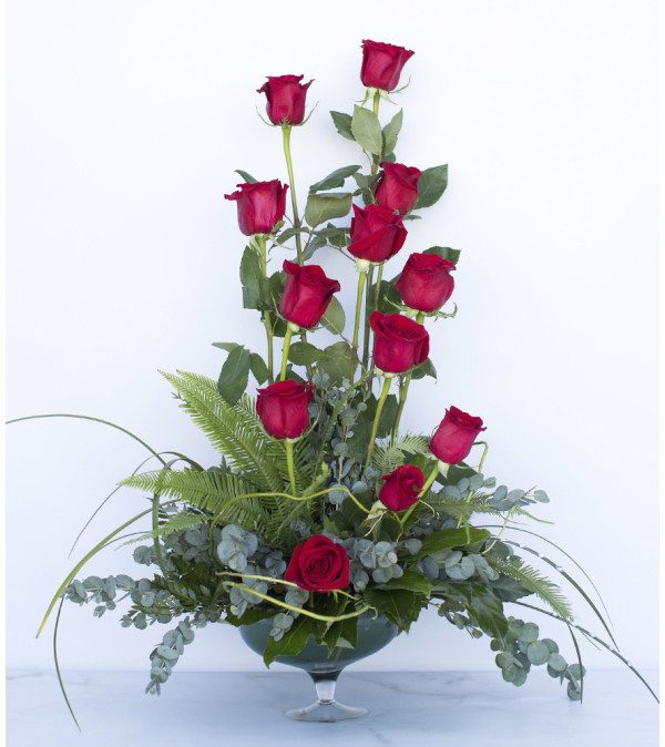 Dashing Red Roses