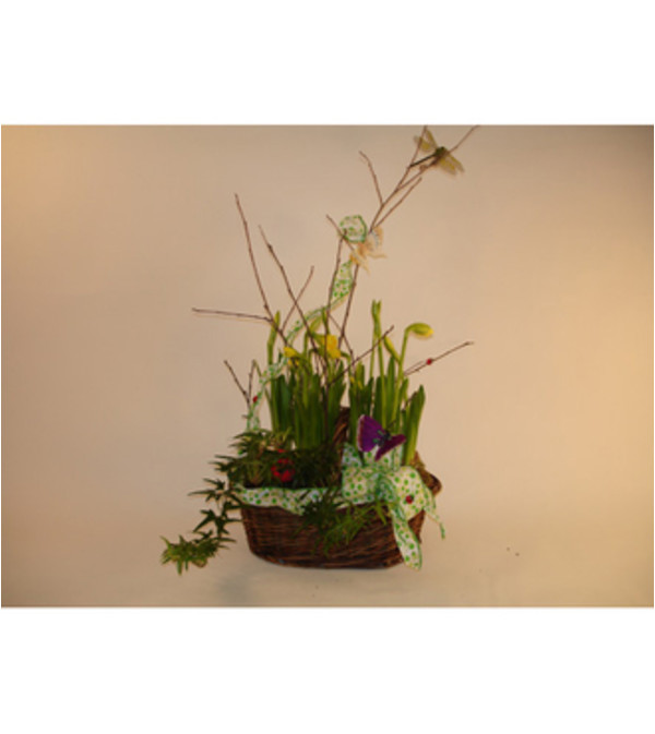 Basket of Daffodils