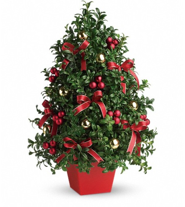 Deck the Halls Tree