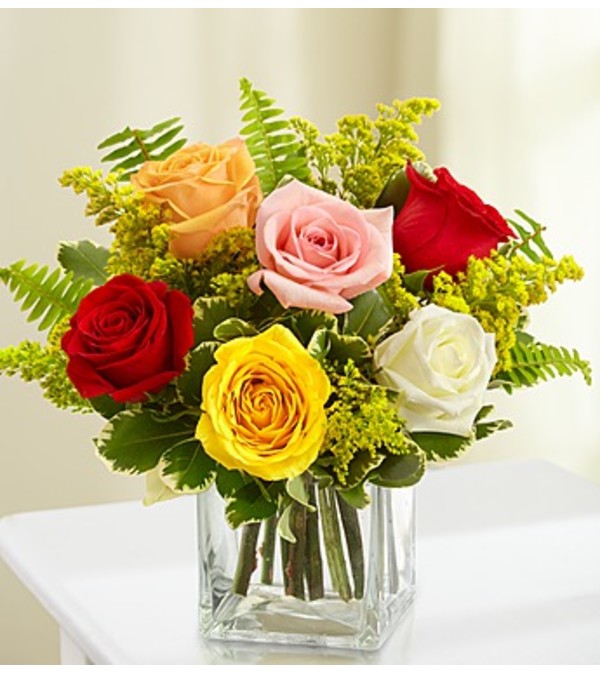 Love’s Embrace™ Roses - Assorted