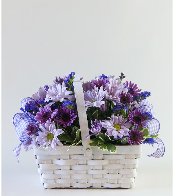 Picnic Basket