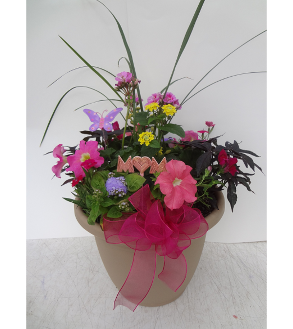 Summer Sun Patio Pot!