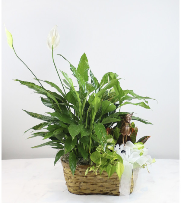 Fairy Garden Basket