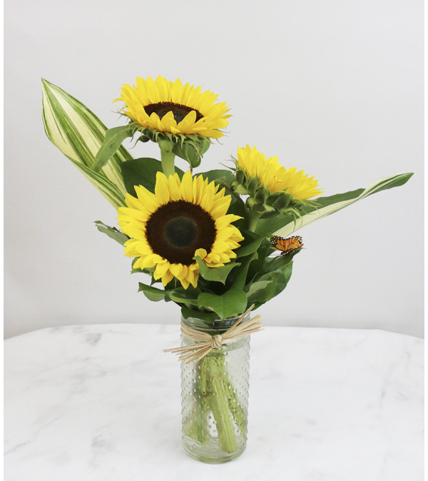 Sunflower Daydream