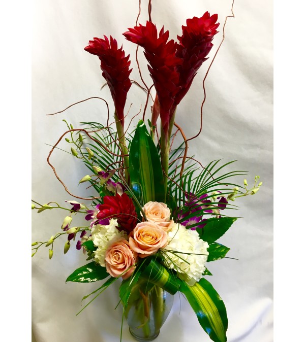 Ginger Bloom
