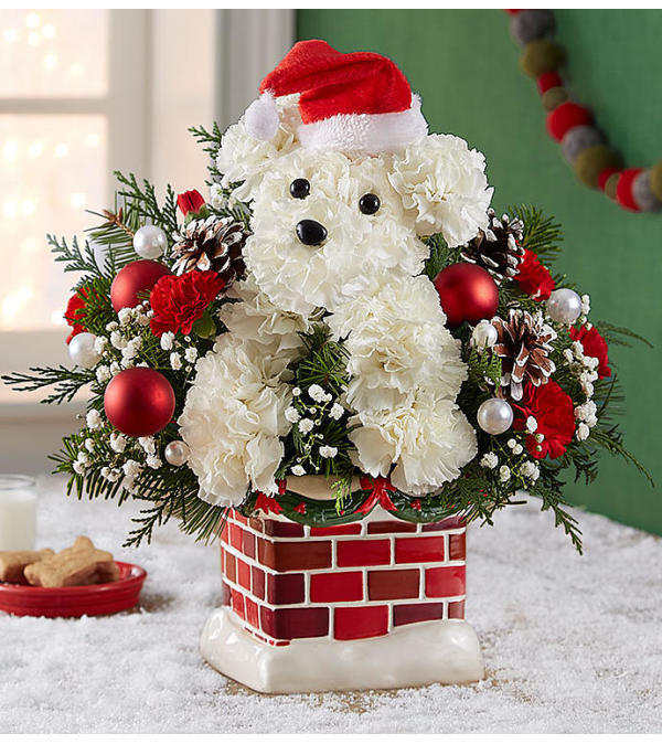 Santa Paws ™