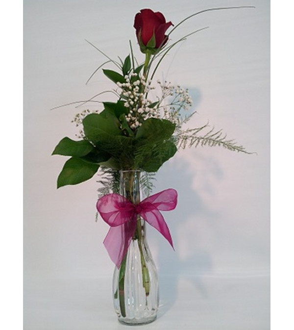 Red Rose Bud Vase
