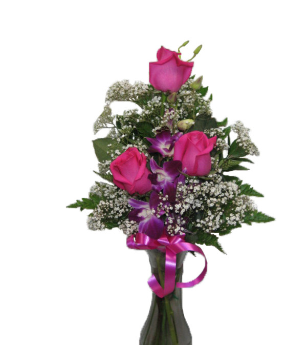 Pretty Pink and purple