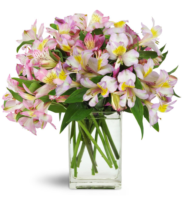 Lively Lilies™