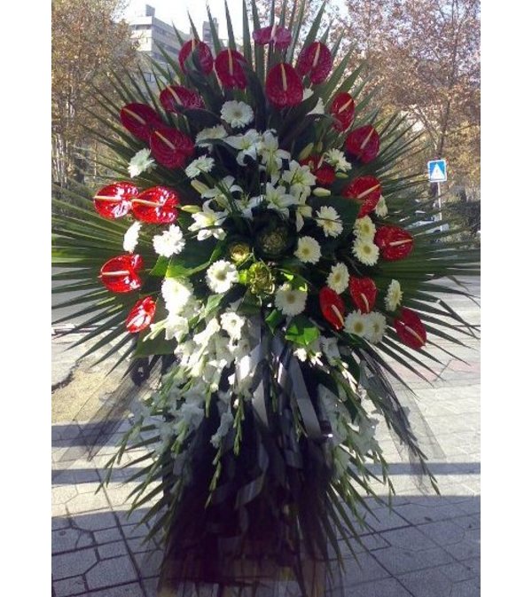 ANTHURIUM STANDING SPRAY