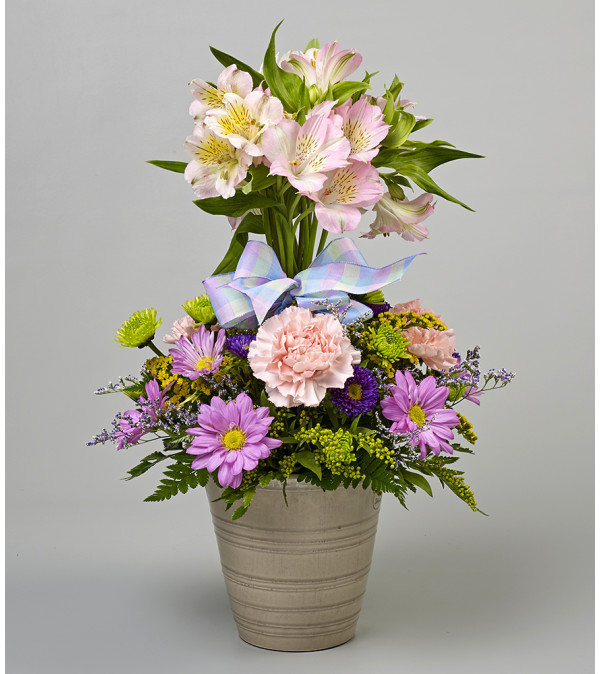 Alstroemeria Topiary