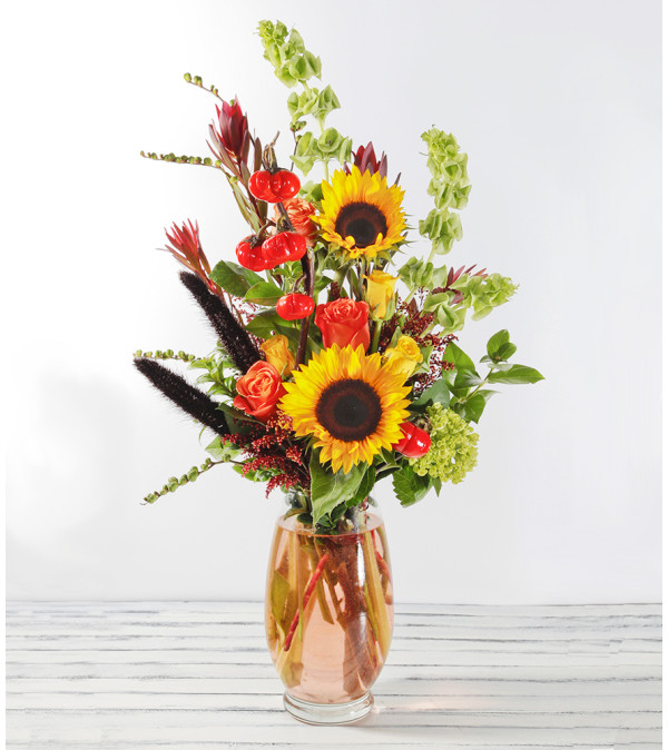 Bursts of Orange