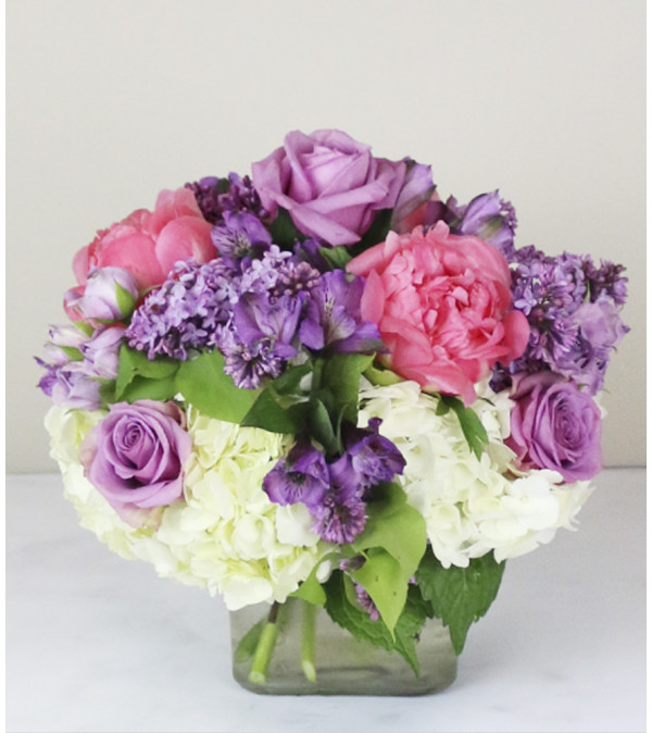 Lush Lavender