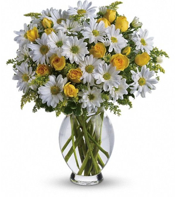 Teleflora's Amazing Daisy