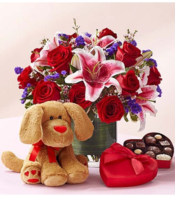 Everlasting Love™ with Plush Dog