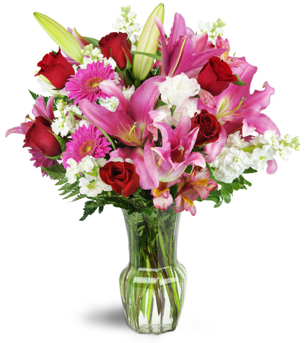 Flowers In Sioux Falls Sd Best Flower Site