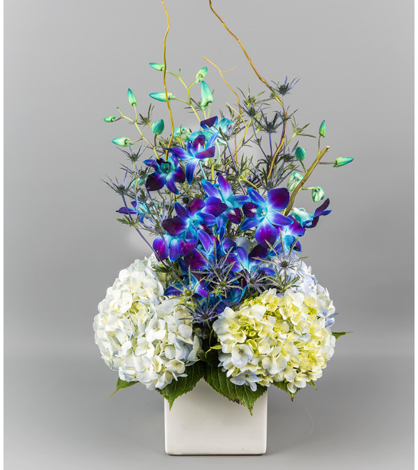 The Brightest Blues
