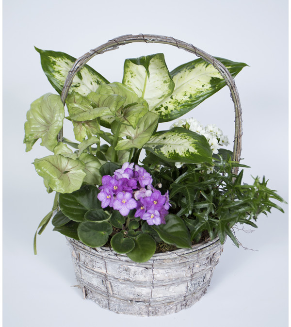 The Perfect Basket