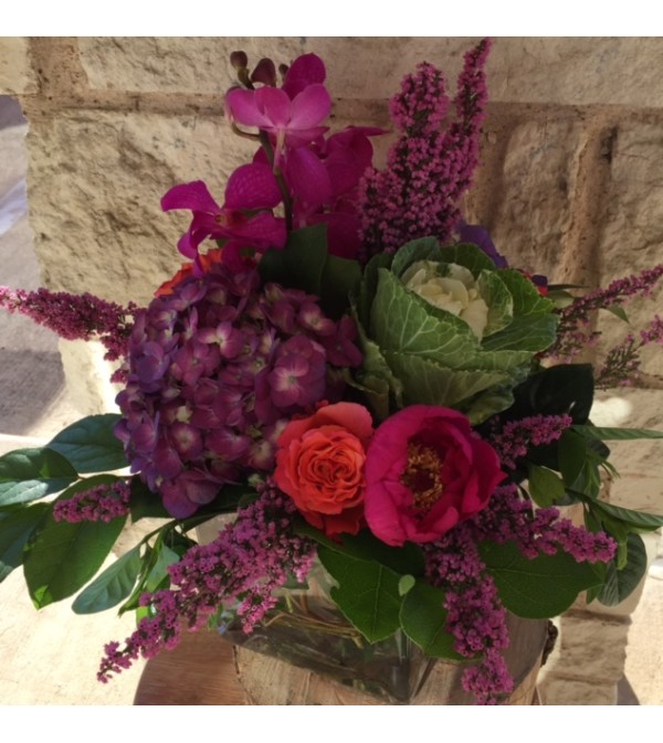 Botanical Beauty