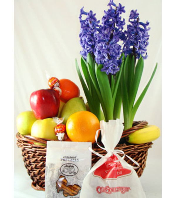 Fruit & Planter Basket