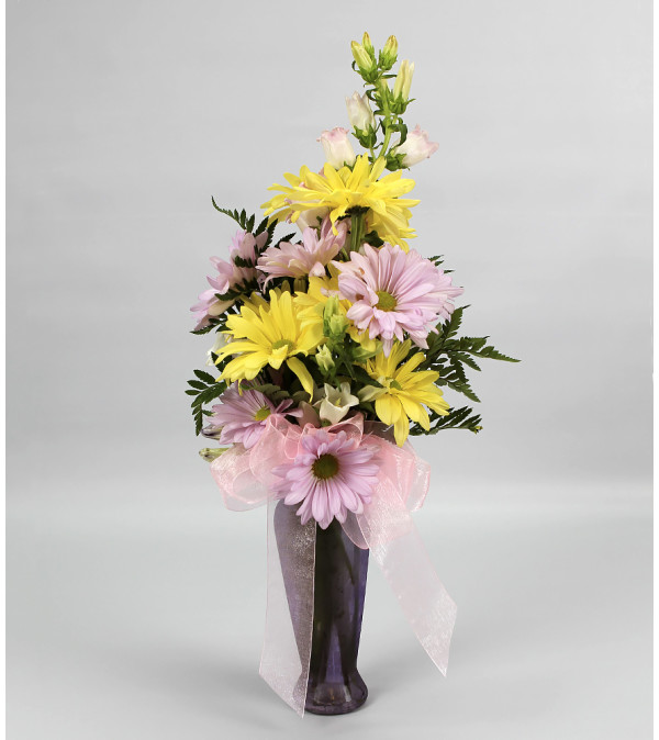 Pastel Daisy