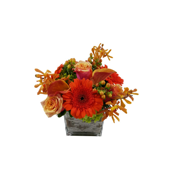 Rustic Tangerine Textures