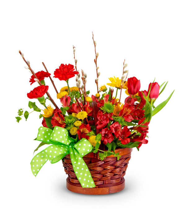 Gardin In Basket