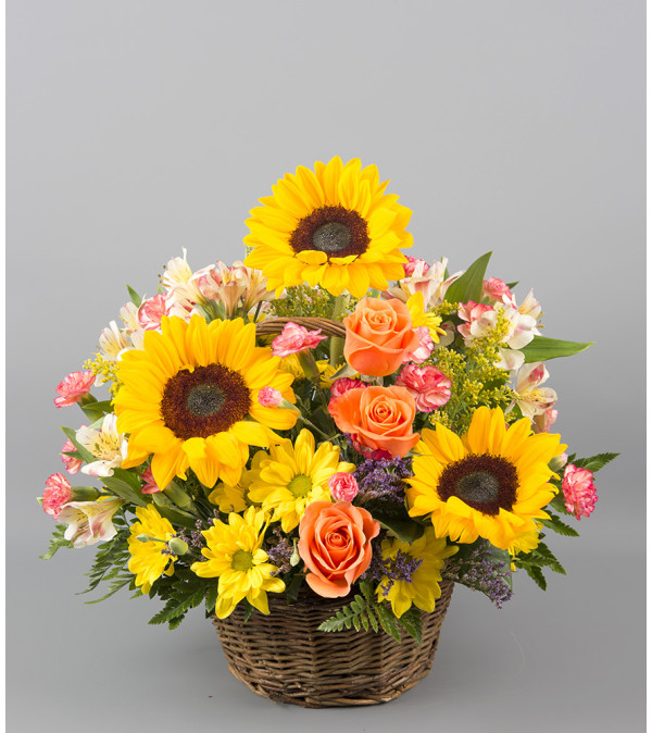 Sunflowers for Days