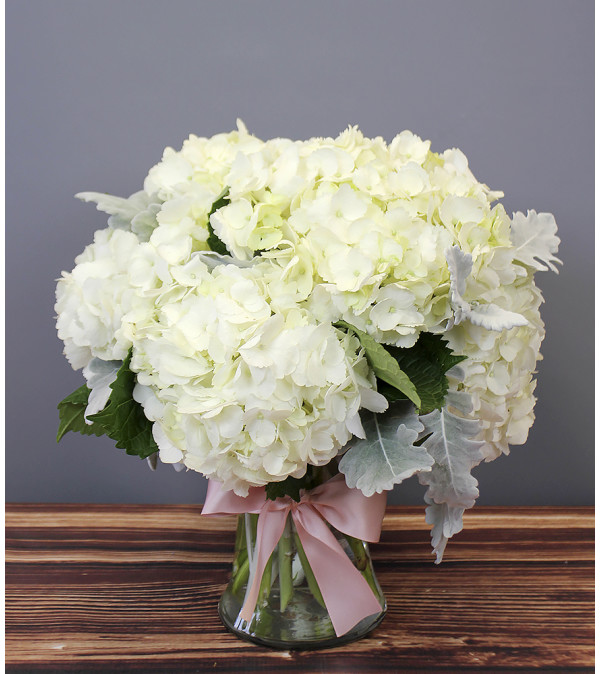 Simply Hydrangea