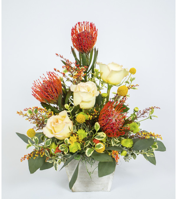 Stunning Protea