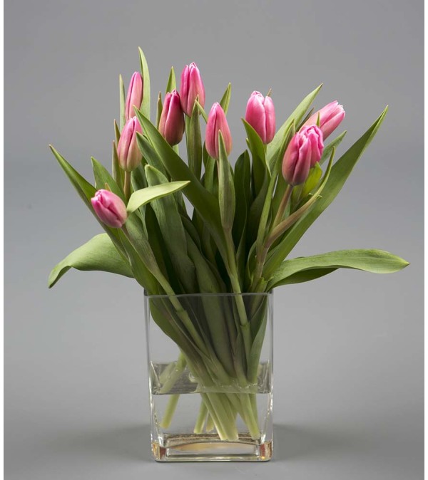 Gotta Have You Tulips