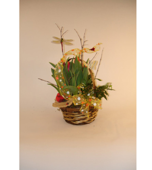 Basket of Tulips