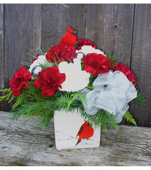 Cardinal's Glory