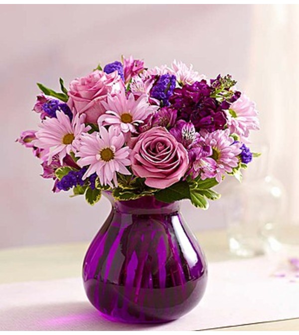 Dreams Lavender