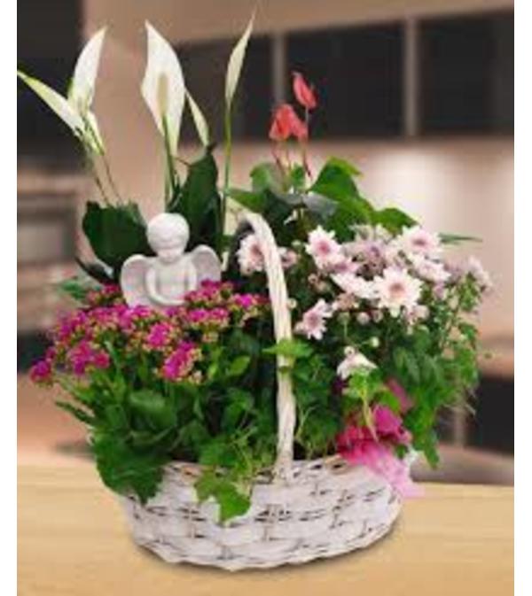 LIVING BASKET WITH ANGEL