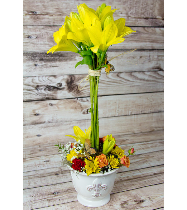 Yellow Lilly Topiary Arrangment
