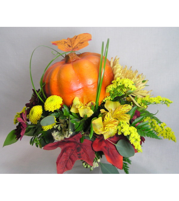 Autumn Harvest