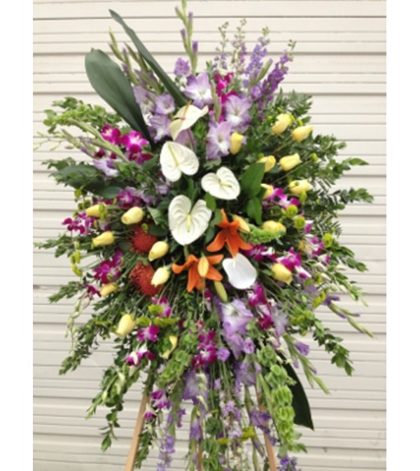 white anthurium Spray