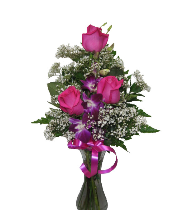 Pretti Pink and purple
