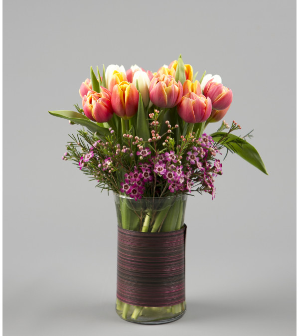 Tulip Surprise