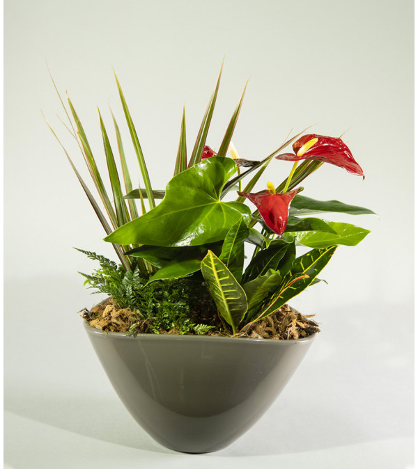 Westdale Indoor Garden