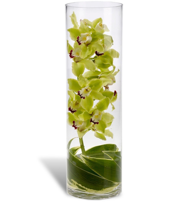 Zensational Orchid Vase